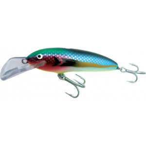 Nils Master Jumbo Shallow